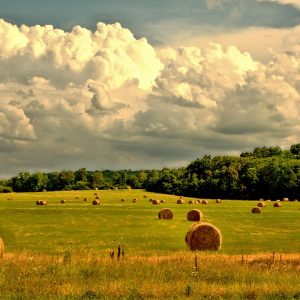 Country Songs - Either Sex, Up-Tempo